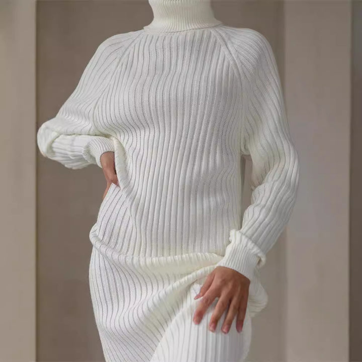 Long Sleeve Turtleneck Sweaters Dress-Lady Dresses-Zishirts