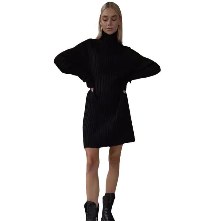 Long Sleeve Turtleneck Sweaters Dress-Lady Dresses-Zishirts