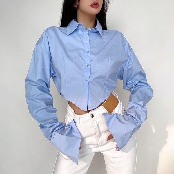 Women's Design Sense Niche Lapel Long Sleeve Short Cinched Blouse-Blouses & Shirts-Zishirts