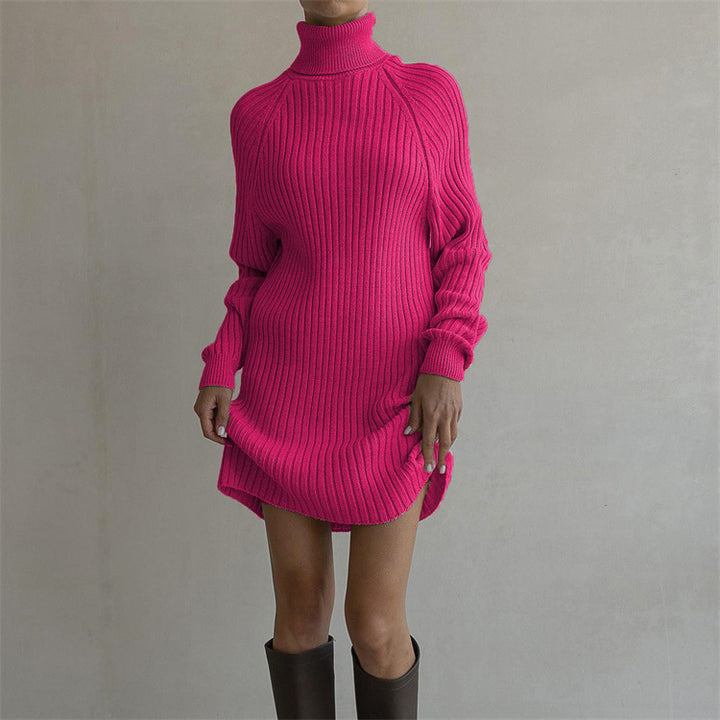 Long Sleeve Turtleneck Sweaters Dress-Lady Dresses-Zishirts