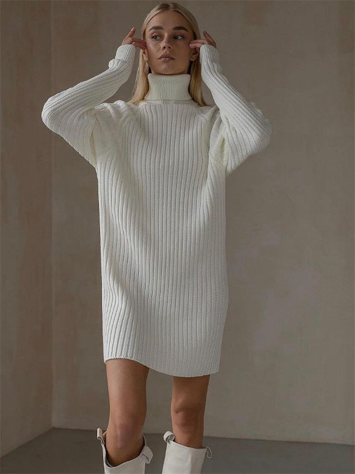 Long Sleeve Turtleneck Sweaters Dress-Lady Dresses-Zishirts