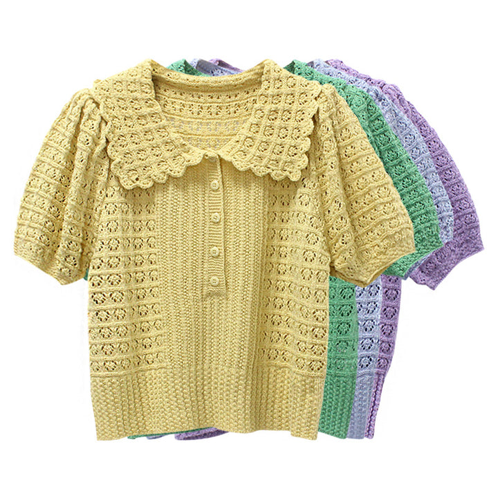 Gentle Hand Crocheting Hollow Knitted Short Sleeve-Sweaters-Zishirts