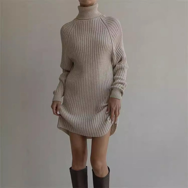 Long Sleeve Turtleneck Sweaters Dress-Lady Dresses-Zishirts