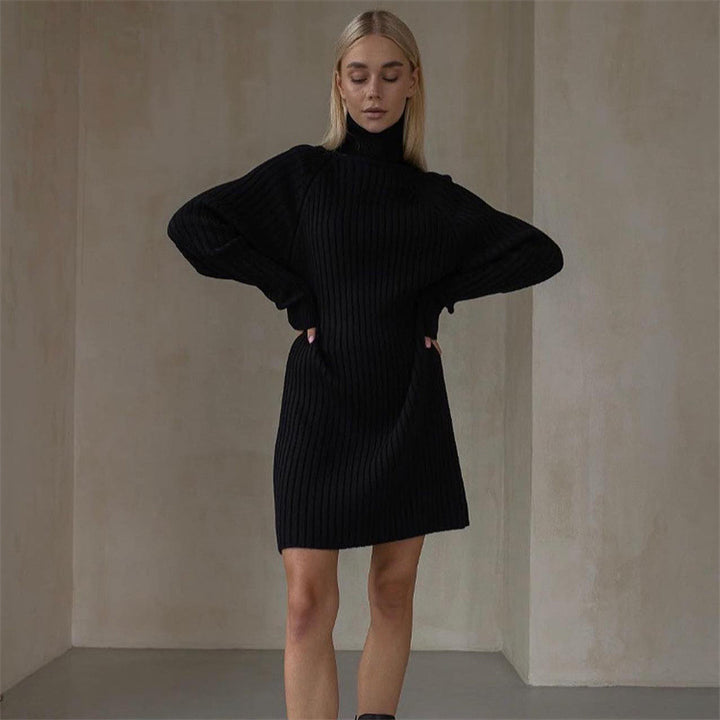 Long Sleeve Turtleneck Sweaters Dress-Lady Dresses-Zishirts